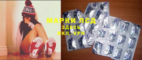 крисы Снежногорск